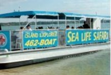 Sealife Safari Boat Ride